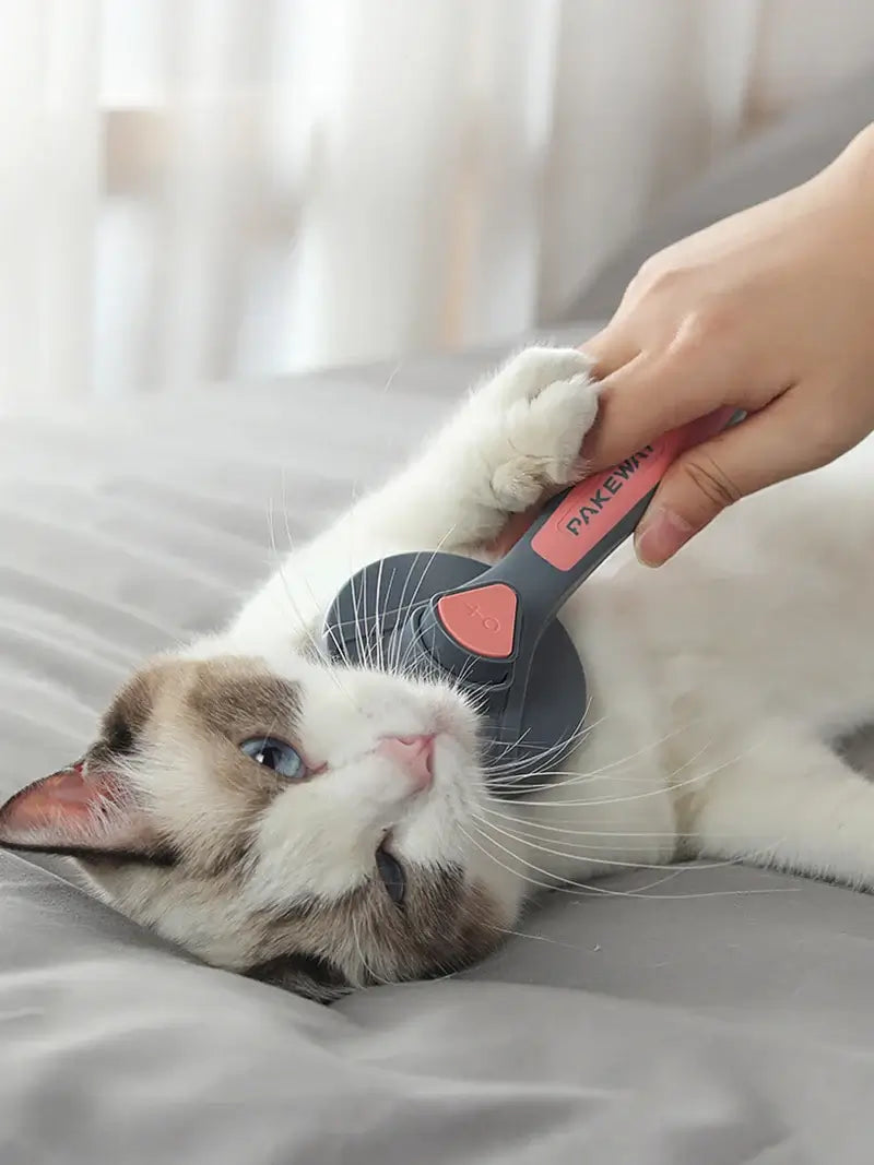 Cat being brushed with a self-cleaning pet grooming comb for loose fur and tangles