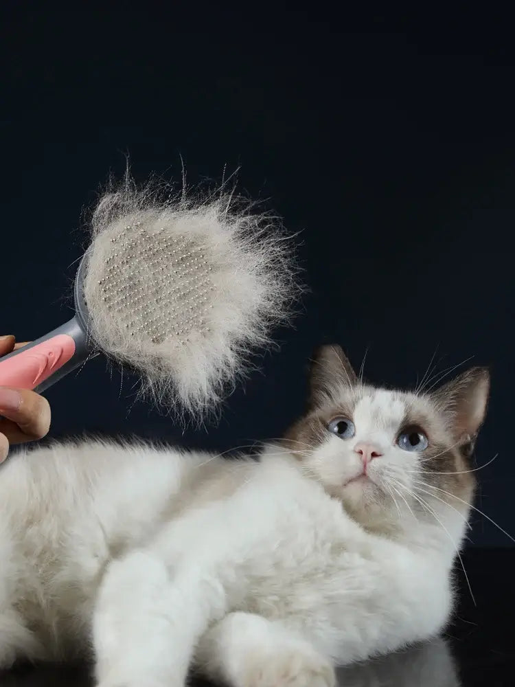 Pet grooming brush removing cat fur, highlighting self-cleaning feature for easy grooming of cats, dogs, and rabbits.